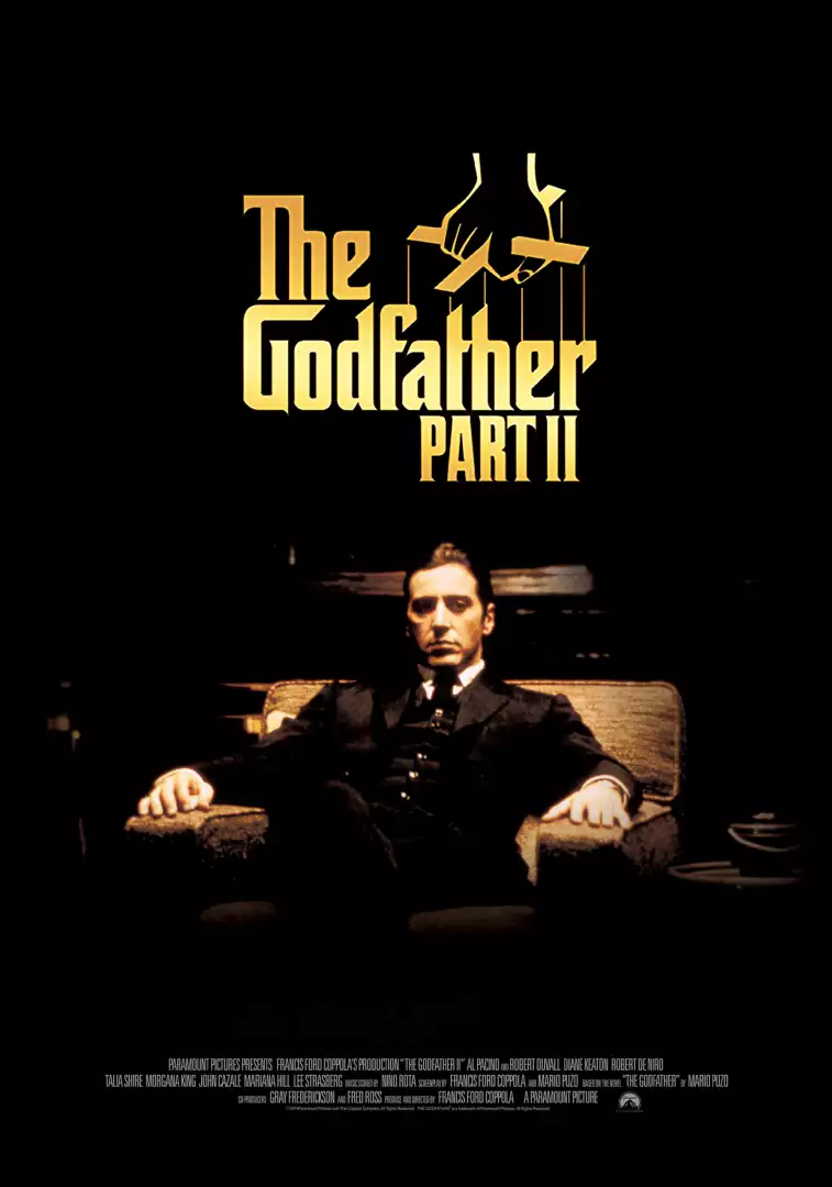 دانلود و پخش آنلاین فیلم سینمایی پدرخوانده بخش دوم The Godfather Part II 1974