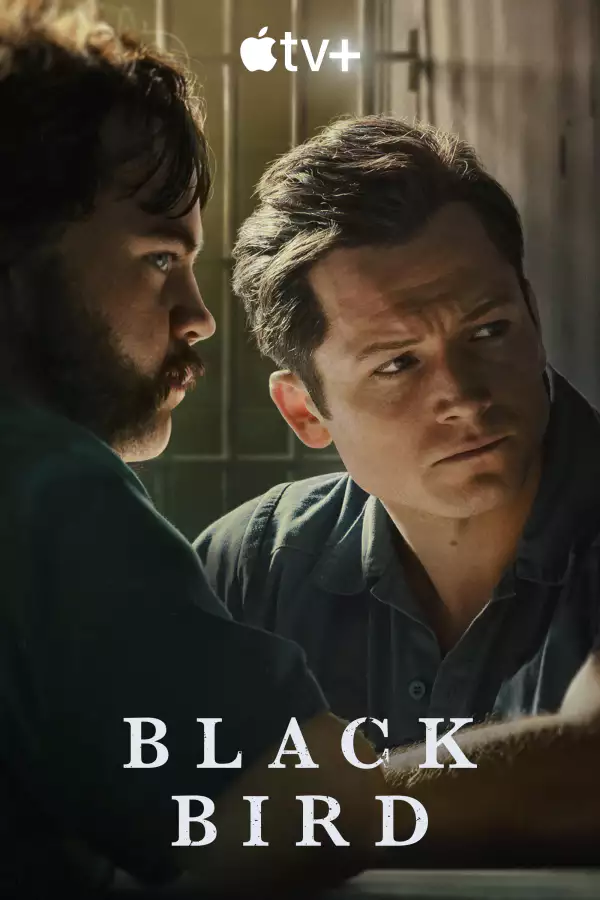 دانلود و پخش آنلاین سریال پرنده سیاه Black Bird 2022