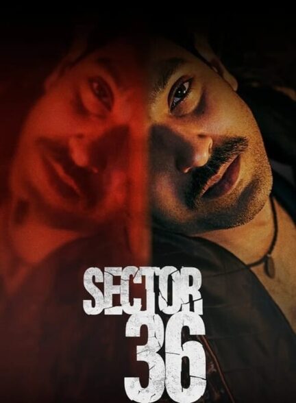 دانلود فیلم Sector 36 2024